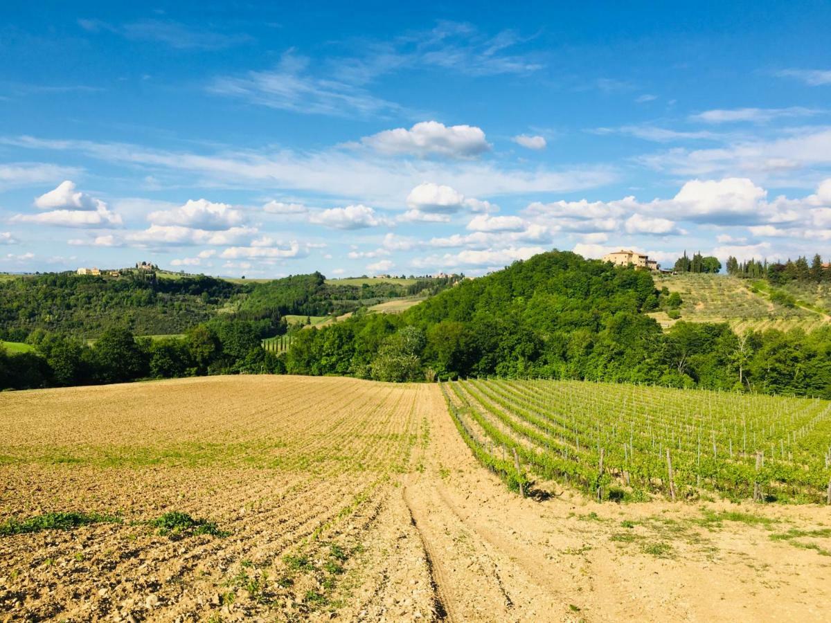Agriturismo La Valle A Polvereto Tavarnelle Val di Pesa Exterior foto